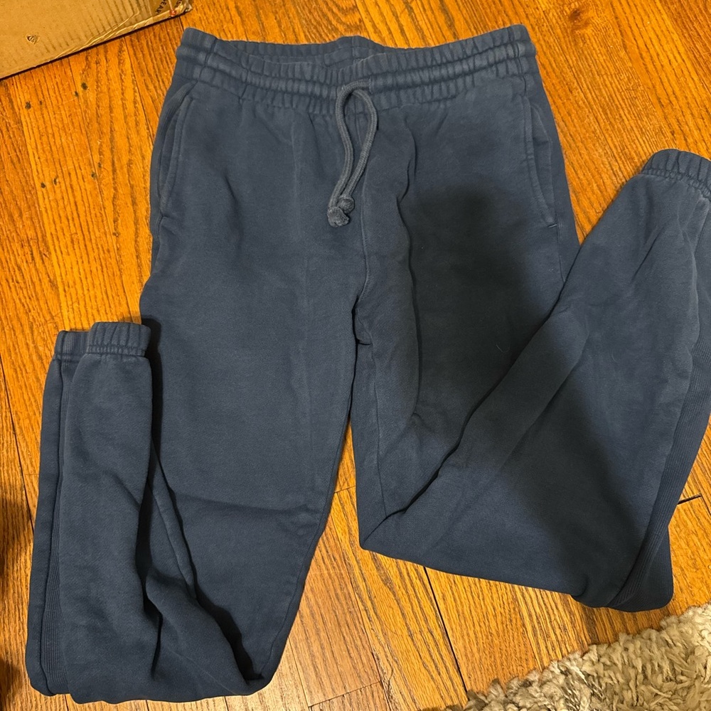 Aritiza Navy Jogger Pants